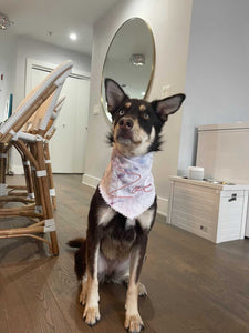 Ice Dyed and Hand Embroidered Pet Bandana